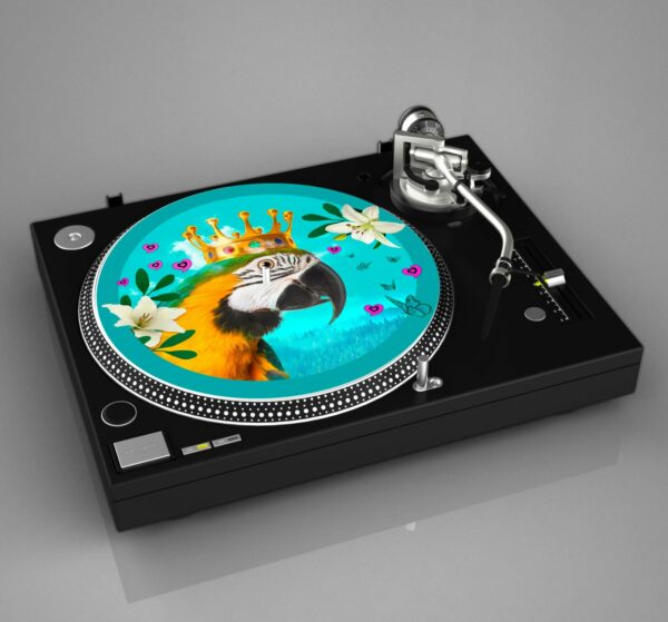 SLIPMAT giradischi